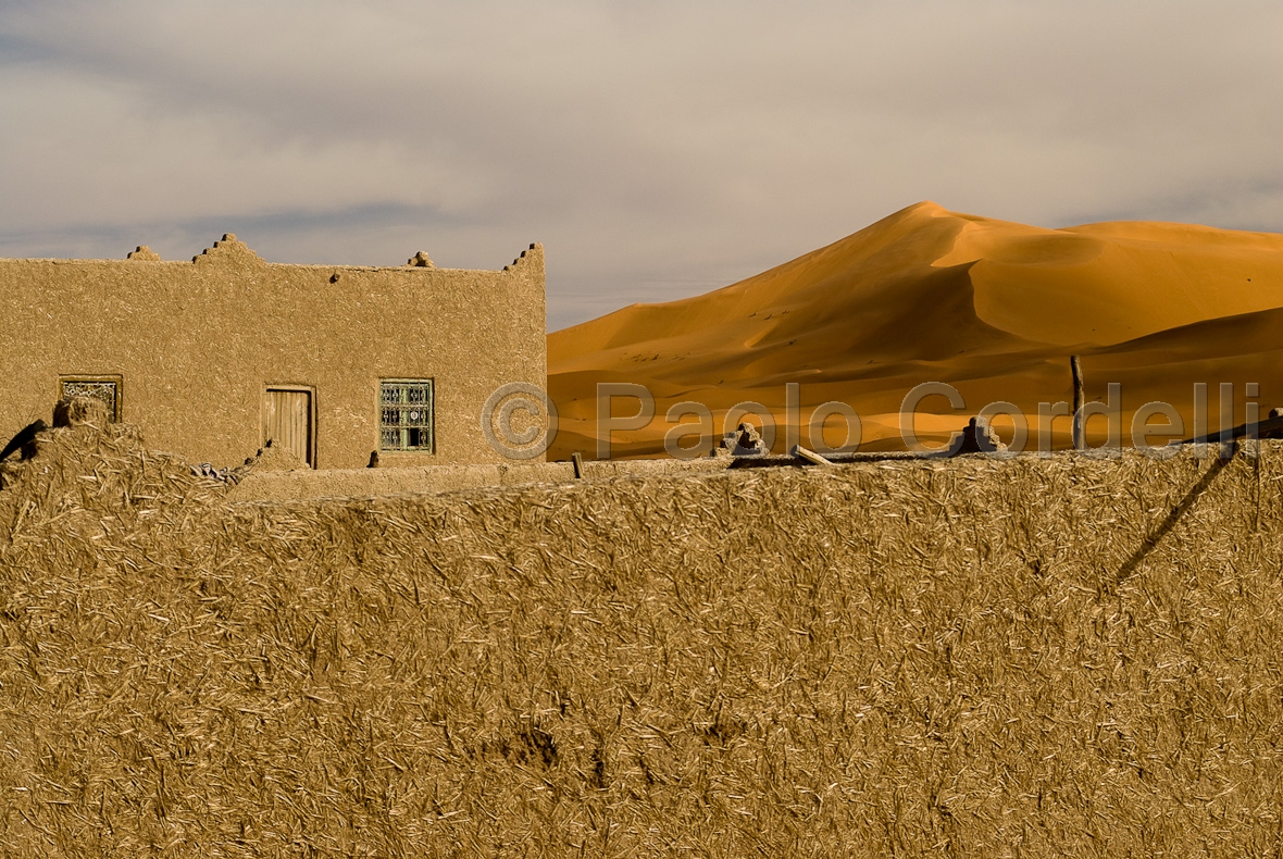 Erg Chebby desert, Merzouga, Morocco
 (cod:Morocco 69)